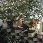 Fabiella Mit Balkon 아파트 *