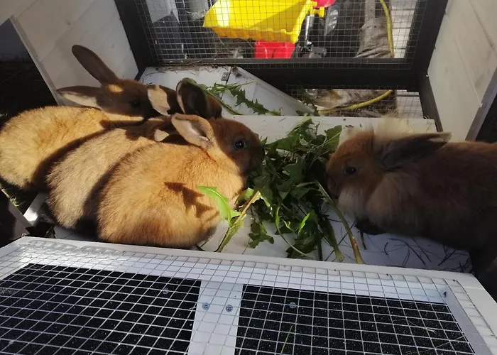 Fabiella Mit Balkon 米尔施塔特