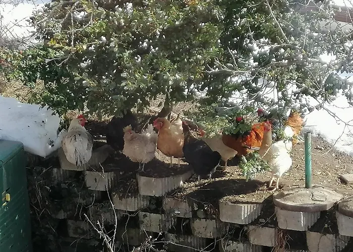 Fabiella Mit Balkon Apartament *